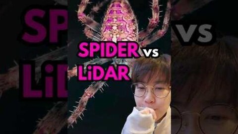 Physics explains spider's behavior LIDAR