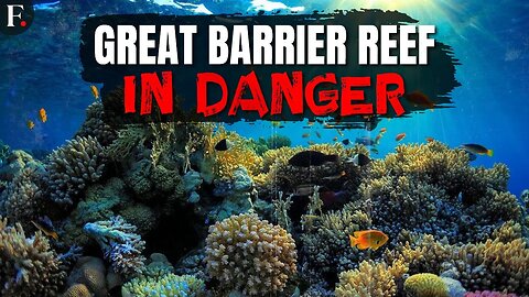 Great Barrier Reef Sees Warmest Water in 400 Years, Scientists Say | FPNews