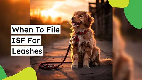 The Ins and Outs of Importer Security Filing for Leashes: What You Need to Know