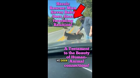 Heroic Rescue: Man Saves Baby Deer, Heartwarming Reunion