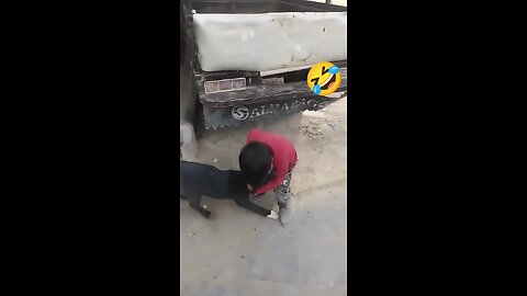 Super Angry kid biting a Dog 🤣🤣😂😂funny video