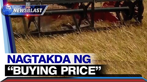 NFA council, nagtakda ng “Buying Price” para sa dry at fresh palay bilang tulong sa mga magsasaka