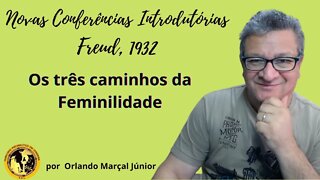 Os três caminhos para a feminilidade