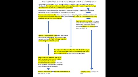 Precinct Strategy Your Republic-Saving Roadmap. Dan Schultz March 10 2023