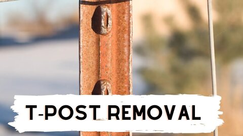 T-Post Removal with a Hi-lift Jack