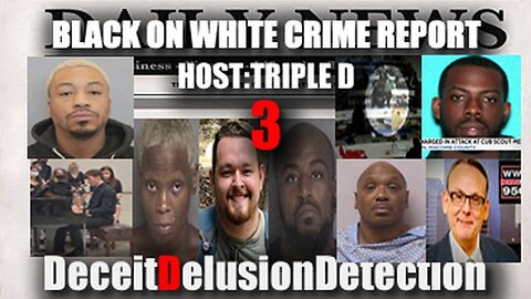 Black on White Crime Report #3 - Deceit Delusion Detection