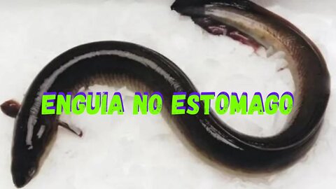 ENGUIA NO INTESTINO?#curiosidades #shorts #vocesabia #short #shortsvideo #shortvideo #shortsyoutube