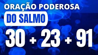 Oração Poderosa Com Salmo 30, Salmo 23 e 91