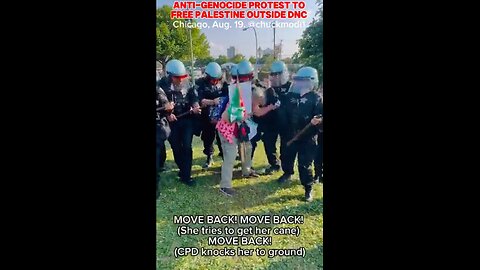 Chicago Police knock older woman to ground with their batons for protesting genocide in Gaza