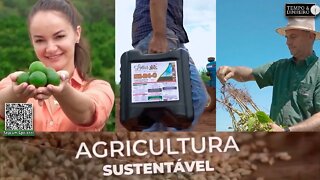 Conheça os produtores que ganharam mais produtividade com o fertilizante da Lottus Biosoluções