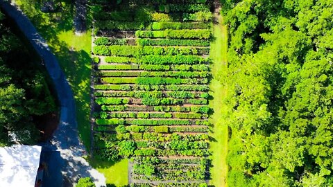 Our Market Garden is ready for planting + New Nursery Additions! (Summer Farm Update)