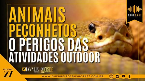 BUSHCAST #27 - ANIMAIS PEÇONHENTOS - O PERIGO DAS ATIVIDADES OUTDOOR