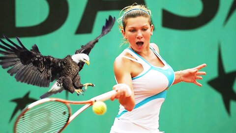 20 EPIC MOMENTS WITH ANIMALS IN SPORTS