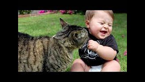 KIDS AND CATS FUNNY BABIES