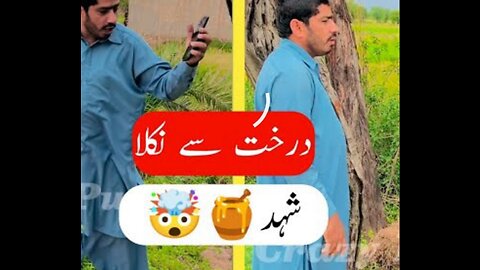 Draksh se nikala shayad funny video..