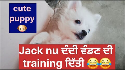 Jack nu dandi vaddan di training ditti