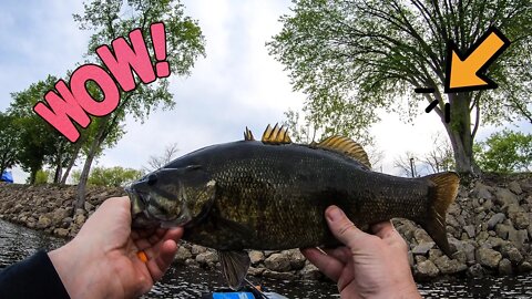 KAYAK Fishing for GIANT Smallmouth - St Croix River