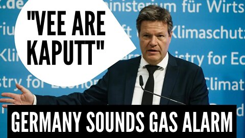 Germany Triggers 2nd Gas Alarm Stage. Accuses RUSSIA Of "Economic Attack" - Inside Russia Report