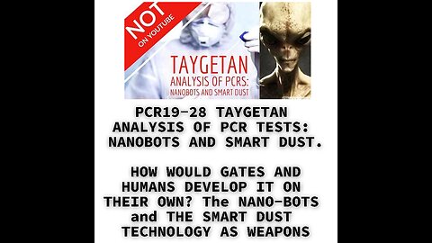 PCR19-28 TAYGETAN ANALYSIS OF PCR TESTS: NANOBOTS AND SMART DUST. HOW WOULD GATES AND HUMANS DEVELOP