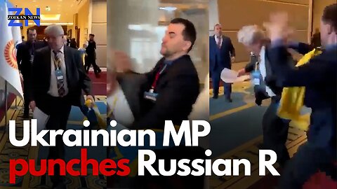 Ukrainian MP punches Russian representative at Turkey summit