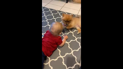 Cute Baby Talking To Dog - cuteness overload