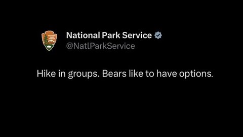 FRIDAY FUNNY -NPS SAYS HIKE IN GROUPS CUZ BEARS LIKE CHOICES -GOOD INFO FOR FLORIDA BEACHGOERS