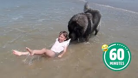 AMAZING Dog Saves Little Girl 😳 | BEST Dog Videos