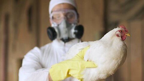 NWO: Bill Gates insider says food supply is deliberately infected with bird flu