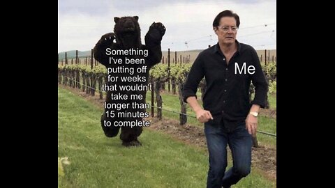 Procrastination Bear #memes #silly #funny #procrastination #regret #problem