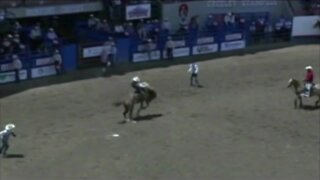 Greeley Stampede kicks off with longhorn parade & rodeo