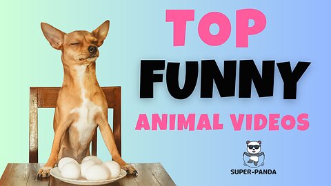 Try not to LAUGH ! (Part 3) The Ultimate Compilation of Funny Animal Videos