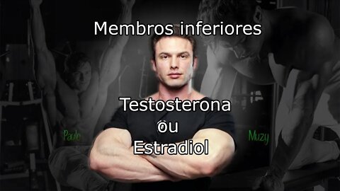 Membros inferiores aumentam com testosterona ou estradiol??