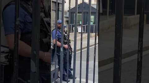 Armed police in side the gate's of downing street #metpolice