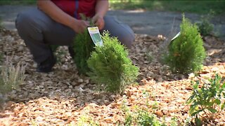 Community organizers work to rebuild Sherman Park