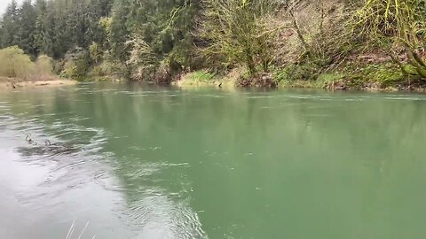 The beautiful Nestucca river in Oregon.