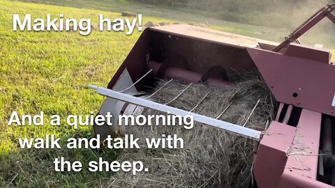 Making hay with the square baler, and a nice, quiet morning walk and talk with the sheep. 🐑🙂