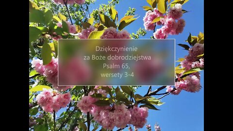 Dziękczynienie za Boże dobrodziejstwa - Psalm 65, wersety 3-4