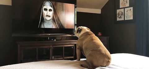 Heroic Bulldog's Incredible Reaction to Actress in Distress