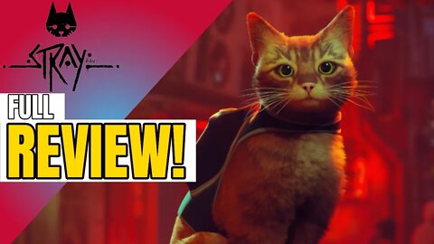 Stray Is A ROCK SOLID Game - FULL REVIEW