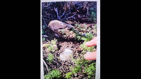 Hunting Crystals in The Texas Hill Country