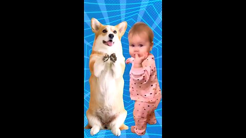 super dog dance 💃 ❤️