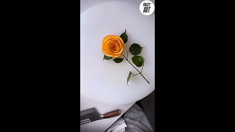 Orange decoration | Fruit Art