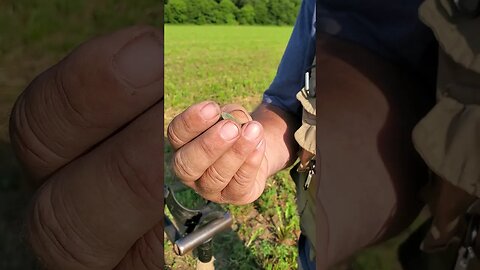 1889 Indian head #civilwar #metaldetecting #coins #shorts