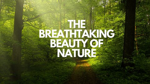 The Breathtaking Beauty of Nature HD | Asthetic For YOU