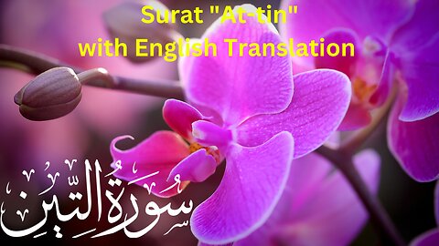 Surat At-tin in beautiful voice with English Translation