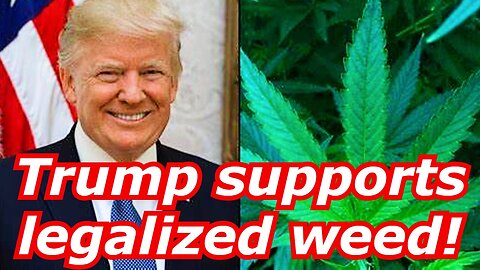 Trump supports legalizing weed. 🌲🔥🌲