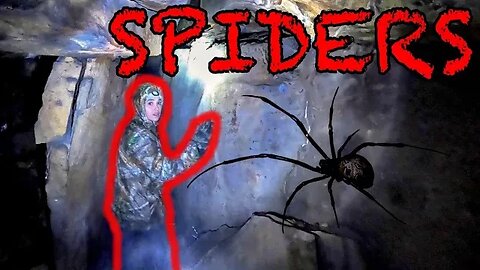 ARACHNOPHOBIA ENGAGED! | CAVE OVERRUN WITH SPIDERS!