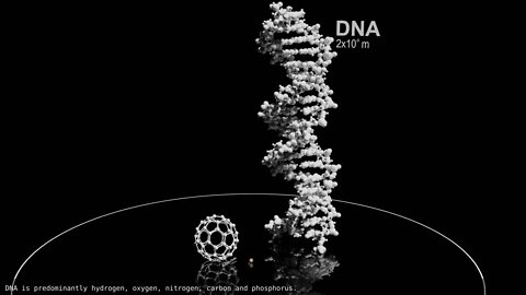 Universe Size Comparison 2020