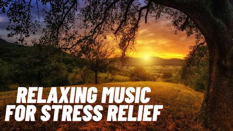 Relaxing Music for Stress Relief. Healing Therapy, Sleep, Spa Soothing Music for Meditation