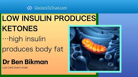 BIKMAN2 LOW INSULIN PRODUCES KETONES…high insulin produces body fat